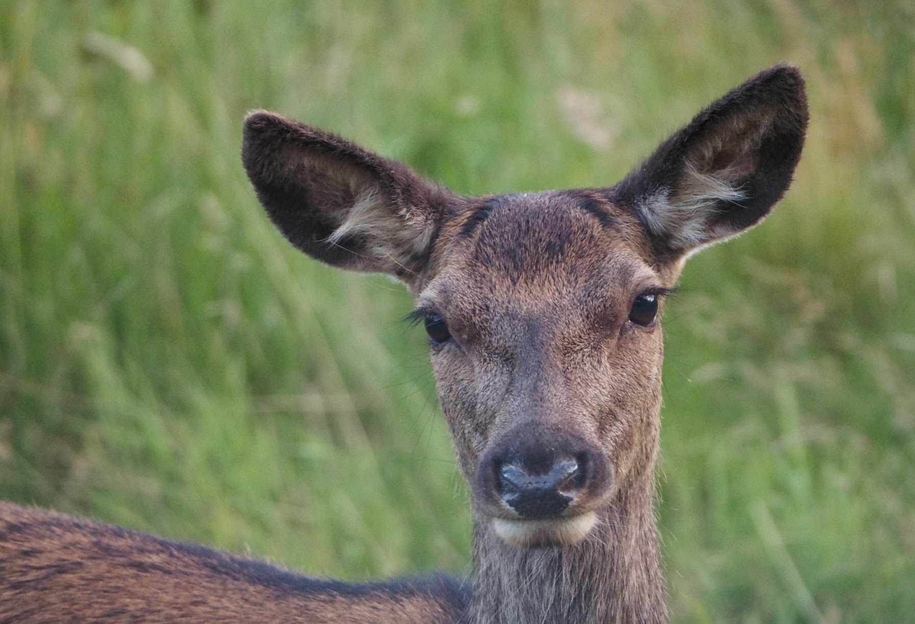 Hoe lief.<br> Wie nett.