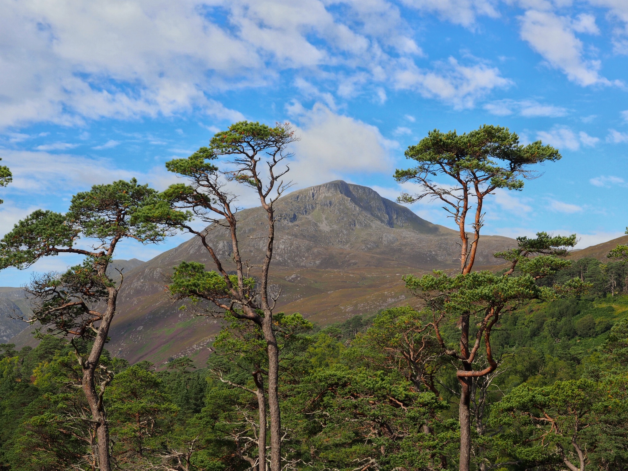 Zou ook de Kilimandjaro kunnen zijn.<br> Hätte auch den Kilimandjaro sein können.